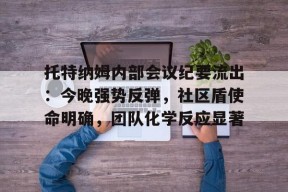 开云体育app-托特纳姆内部会议纪要流出：今晚强势反弹，社区盾使命明确，团队化学反应显著的简单介绍-开云体育app