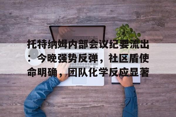 托特纳姆内部会议纪要流出：今晚强势反弹，社区盾使命明确，团队化学反应显著的简单介绍